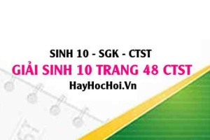 Giải Sinh 10 trang 48 Chân trời sáng tạo SGK